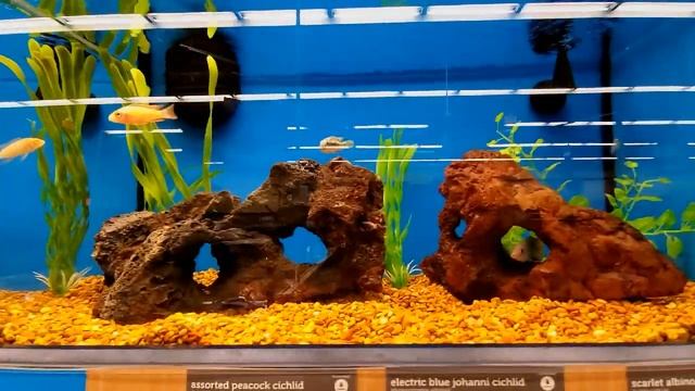 Рыбки- Аквариум. Корм для рыбок-Aquarium - Fish - Food for Fish смотреть онлайн