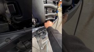 Yamaha F 100 DETL for sale by Pronautika