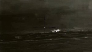 Subsonic БПЗ FMJ 12,7г. по лисе