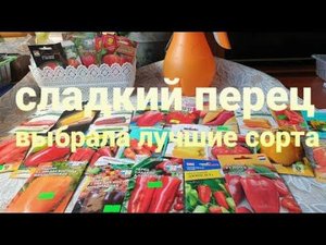 СОРТА ПЕРЦА 2023.Выбрала самые ,самые.Урожайные и вкусные. РАССАДА