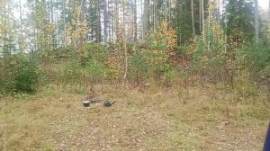 ЖИЗНЬ И БЫТ В ТАЙГЕ КАРЕЛИИ / УТОНУЛА ЛОДКА С ПЕЧКОЙ ДЛЯ ЗИМОВЬЯ / ДЕНЬ 1.