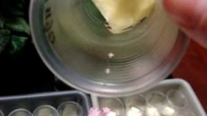 цикламен (Cyclamen) . Подготовка к посеву.