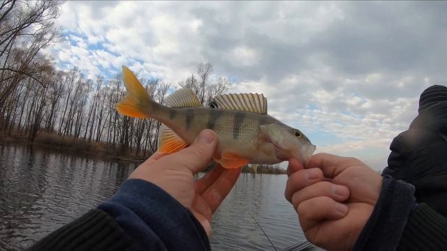 Рыбалка на спиннинг с лодки осенью смотреть онлайн