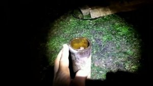 Фундамент для теплицы