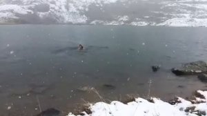 Купание зимой