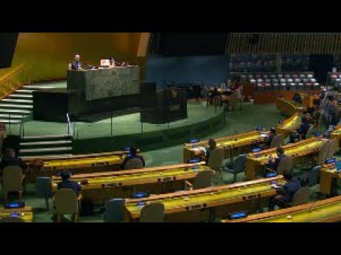 Statement by DPR Anna Evstigneeva in response to the Permanent Representative of Germany