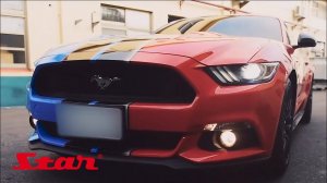 Окрашено STAR. Ford Mustang GT Twin Color