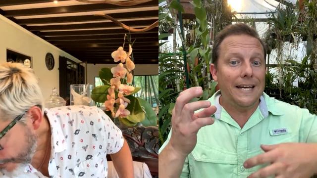 Important tips on orchid care using different brands both organic and non organic. смотреть онлайн