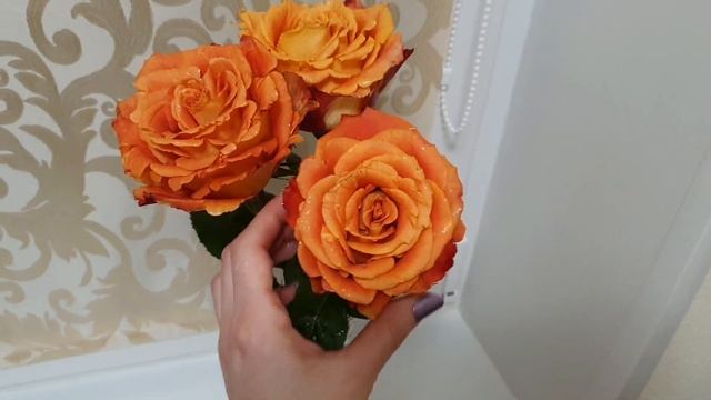 Как дольше сохранить срезанные розы