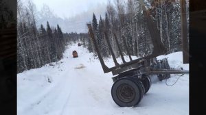 💥ЛЕСОВОЗАМ. Макс Вертиго и Феликс Верниковский.