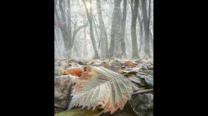 Унылая пора, очей очарование.