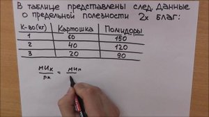Микра для начинающих/Теория потребительского выбора_1