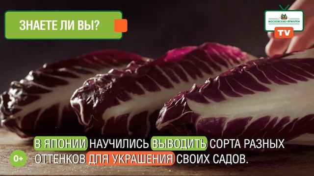 «Московские ярмарки»: пекинская капуста для долголетия смотреть онлайн