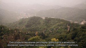 Нобелевская премия по медицине досталась ученым из США и Германии