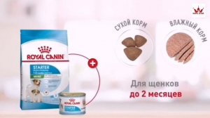 корм Royal canin и Eukanuba, вся линейка под заказ от производителя.