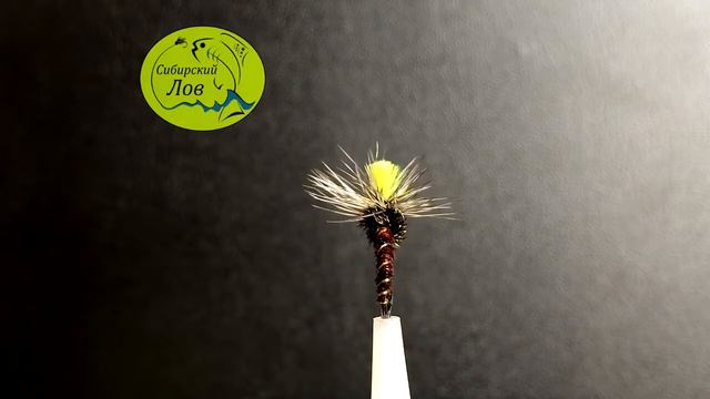 Klinkhammer, GP Variant. смотреть онлайн