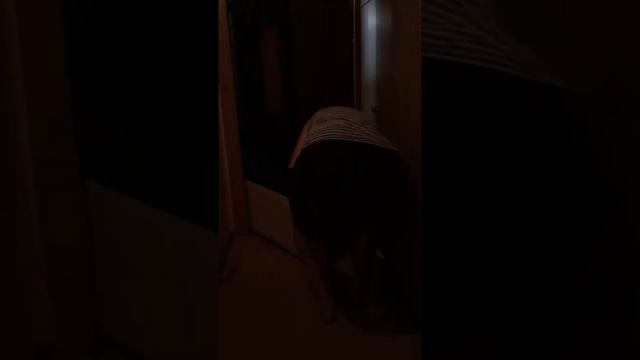 Передвинуть мебель легко смотреть онлайн