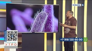 Хорошее утро 27.06.2023