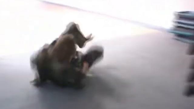 Боевая акробатика. Прыжок - кувырок смотреть онлайн