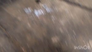 Снятие крышки ГРМ мото Урал без снятия двигателя! Посторонний гуд под крышкой!