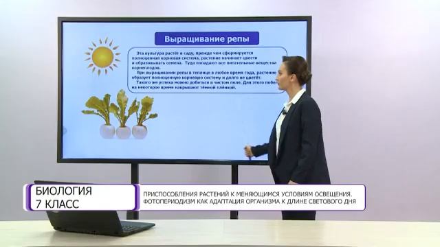 Биология. 7 класс. Приспособления растений к меняющимся условиям освещения смотреть онлайн