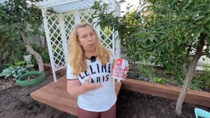 Дизайн своими руками. Начинаем делать новую зону отдыха на даче