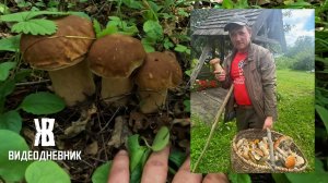 Продолжаю делать козырек на крыльце. Собрал ОЧЕНЬ много белых грибов и постелил плитку в ванной .