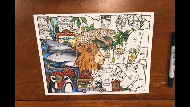 City Tour Coloring - South Africa and Its King Protea - lilireal studio - 南非和他的帝王花 смотреть онлайн