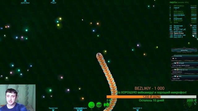 Stream Wormax.io Игры с подписчиками и гостями! смотреть онлайн