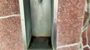 Калининград 2020.  ЗЕЛЕНОГРАДСК. Достопримечательности, что посмотреть, город кошек. Большой выпуск