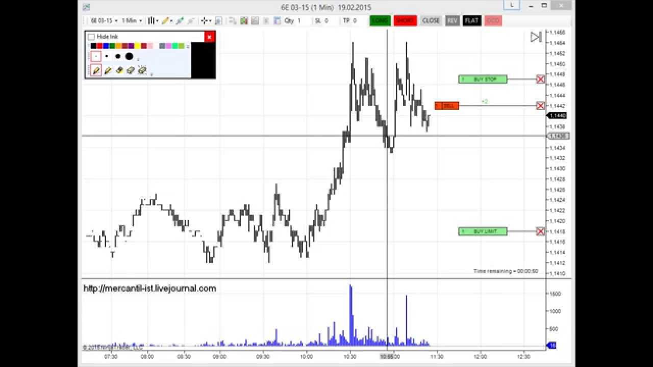 Трейдинг онлайн на чикагской бирже (CME). Торговая стратегия скальпинг, интрадей. Фьючерс 6E.