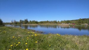 лето солнце речка ☀️🌸🌴💧