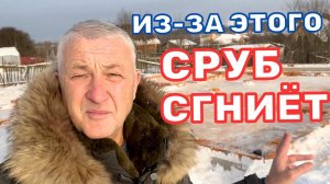 СРУБ СГНИЁТ ИЗ-ЗА ЭТОЙ ОШИБКИ - Как сохранить первый венец?