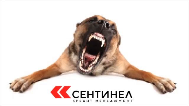 Сентинел против. 36 Василь Сергеич (выключайте запись!) смотреть онлайн