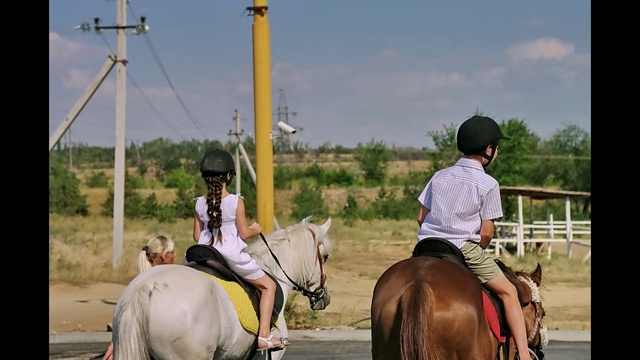 Лошадки