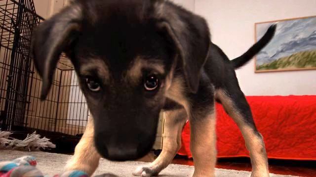 Музыка на вызов. Невероятно волшебная песня. Обожаю! смотреть онлайн