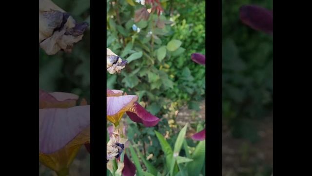 Крым,город Саки,набережная смотреть онлайн