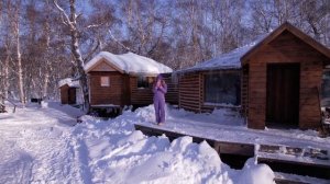 Камчатка отдых зимой. Катание на собачьих упряжках
