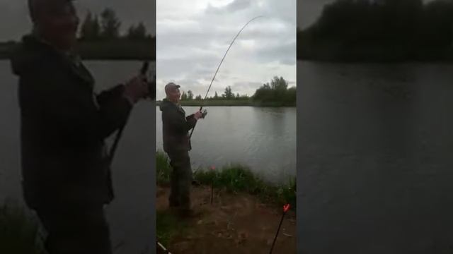 Суперклев в Стрелецком 20/05