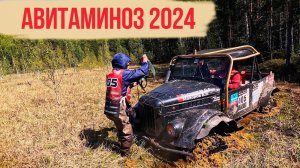 Авитаминоз 2024