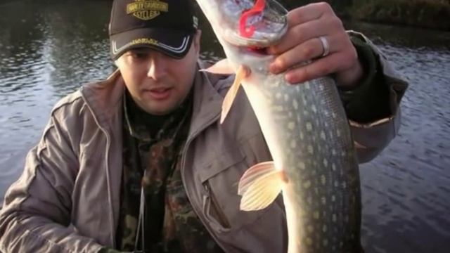 Ловля щуки и судака. Калининградский залив смотреть онлайн