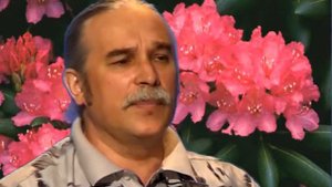 Анатолий Гуляев У МОЕЙ НАТАШКИ