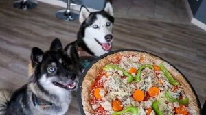 ХАСКИ. УХОД И СОДЕРЖАНИЕ. ПЛЮСЫ И МИНУСЫ.