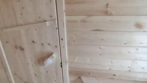 Баня 3 на 5. Сосновый сруб.