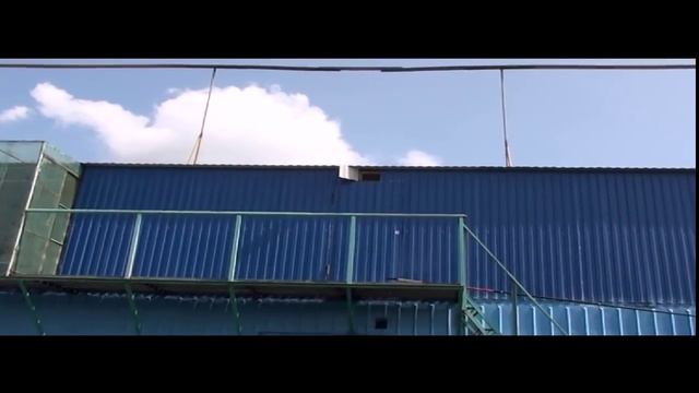 Николаевские и Кировоградские голуби в г.Саратове 89873394958 смотреть онлайн