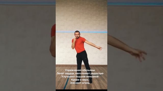 Обезьяна. Игры 5 пяти зверей. Доктора Хуа То. Даосский цигун, даосская йога. Облегченный, вариант. смотреть онлайн