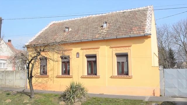 Окажем помощь в получении ВНЖ в Европе смотреть онлайн