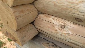 Шлифовка рубленного сруба 26-28