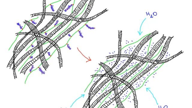 Мукоидное набухание смотреть онлайн