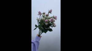 Мужчина-Стрелец и Женщина-Стрелец | Совместимость в любви по знаку зодиака